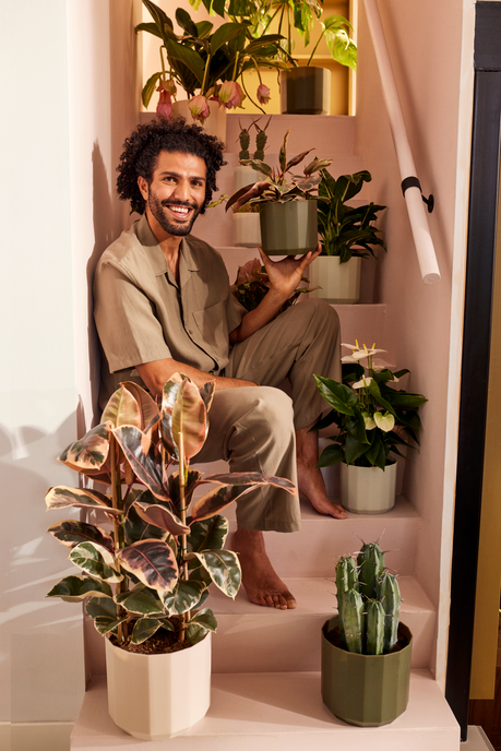 facet round 14cm verde foresta